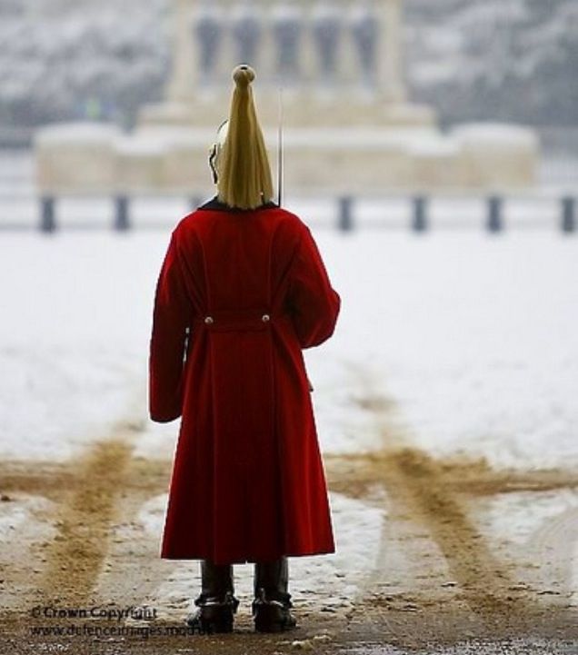 อังกฤษ War Horse Guard Jacket  - Jacket Winter Clothing บทวิจารณ์และราคา