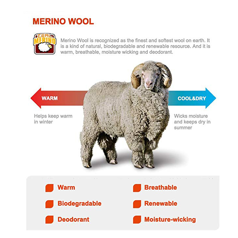 ซีลวูดเดินป่าปีนเขาถุงเท้าหนาข - Thermal Sock Merino บทวิจารณ์และราคา